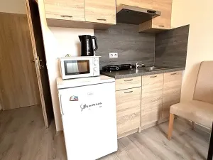 Pronájem bytu 1+kk, Praha - Černý Most, Vlčkova, 18 m2