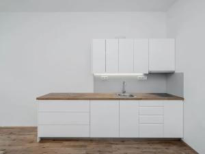 Pronájem bytu 1+kk, Praha - Žižkov, Řehořova, 29 m2
