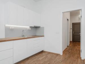 Pronájem bytu 1+kk, Praha - Žižkov, Řehořova, 29 m2