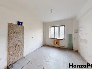 Prodej bytu 1+1, Praha - Žižkov, Viklefova, 39 m2