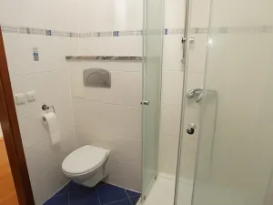 Pronájem bytu 2+kk, Plzeň, Bolevecká náves, 62 m2