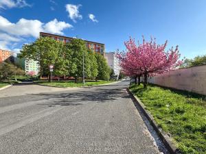 Pronájem bytu 3+1, Chomutov, Kamenná, 76 m2