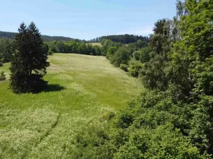 Dražba louky, Hartmanice, 9140 m2