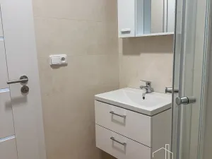 Pronájem bytu 2+1, Lužice, Havířská, 55 m2
