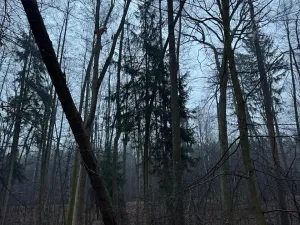 Prodej pozemku, Třebechovice pod Orebem, 14875 m2