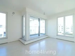 Pronájem bytu 1+kk, Brno, Kociánka, 45 m2