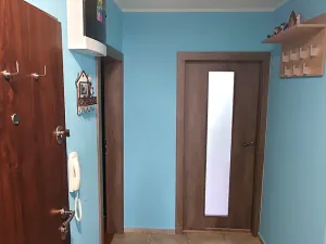 Prodej bytu 2+1, Hodonín, Nesyt, 60 m2