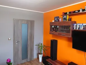 Prodej bytu 2+1, Hodonín, Nesyt, 60 m2