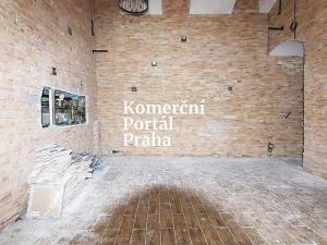 Pronájem restaurace, Praha - Nové Město, Soukenická, 276 m2