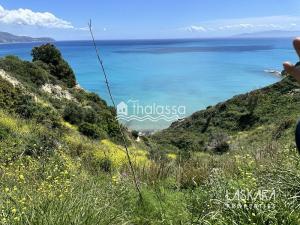 Prodej komerčního pozemku, Kefalonia, Leivathos, Řecko, 20000 m2