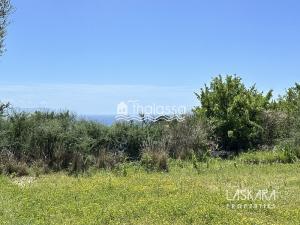 Prodej komerčního pozemku, Kefalonia, Leivathos, Řecko, 20000 m2