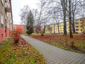 Pronájem bytu 2+kk, Ostrava, Svazácká, 53 m2