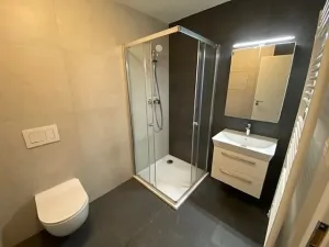 Pronájem bytu 1+kk, Jihlava, Okružní, 28 m2