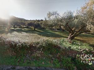 Prodej pozemku, Ostrov Kefalonia, Erissos, Asos, Řecko, 5000 m2