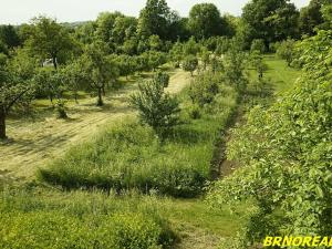 Prodej zahrady, Rousínov, 940 m2