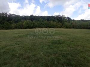 Prodej louky, Jenčice, 12373 m2