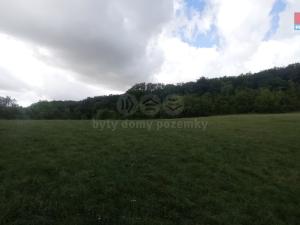 Prodej louky, Jenčice, 12373 m2