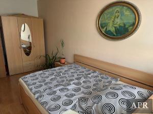 Pronájem bytu 2+1, Uherské Hradiště, Derflanská, 45 m2
