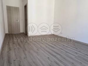 Prodej bytu 2+kk, Plzeň - Východní Předměstí, Guldenerova, 48 m2