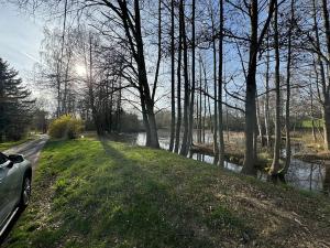 Prodej chaty, Ostrov, 56 m2