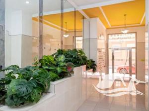 Prodej bytu 2+kk, Torrevieja, Španělsko, 45 m2