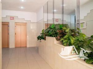 Prodej bytu 2+kk, Torrevieja, Španělsko, 45 m2