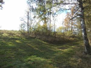 Prodej lesa, Římov - Dolní Stropnice, 32512 m2