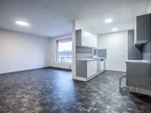 Pronájem bytu 3+kk, Liberec, Puchmajerova, 91 m2