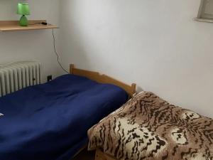 Prodej vícegeneračního domu, Dolní Moravice, 914 m2