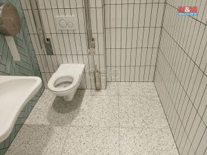 Prodej obchodního prostoru, Opava - Město, Masarykova třída, 120 m2