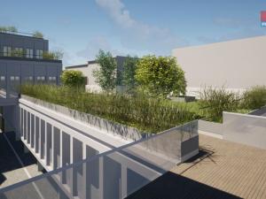 Prodej obchodního prostoru, Opava - Město, Masarykova třída, 80 m2