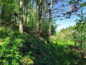 Prodej chalupy, Konice, 60 m2