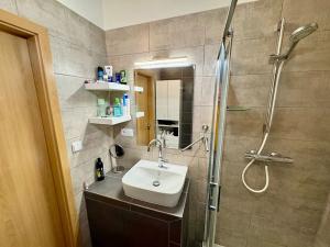 Prodej bytu 2+1, Klatovy, Luční, 67 m2