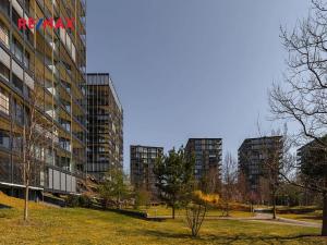 Pronájem bytu 5+kk, Praha - Žižkov, Pitterova, 254 m2