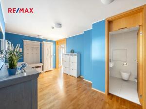Pronájem bytu 5+kk, Praha - Žižkov, Pitterova, 254 m2
