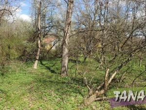 Prodej zemědělské usedlosti, Kobyly, 550 m2