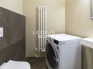 Pronájem bytu 2+kk, Praha - Žižkov, U Rajské zahrady, 79 m2