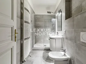 Pronájem bytu 2+kk, Praha - Staré Město, Bílkova, 51 m2