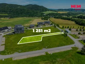 Prodej pozemku pro bydlení, Červená Voda, 1251 m2