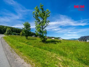 Prodej pozemku pro bydlení, Červená Voda, 1251 m2