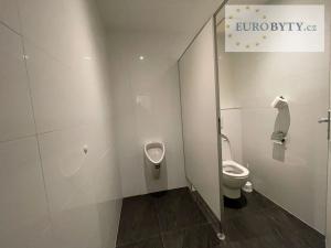 Prodej kanceláře, Praha - Vysočany, Jandova, 48 m2