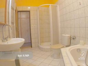 Prodej činžovního domu, České Budějovice, Hradební, 521 m2
