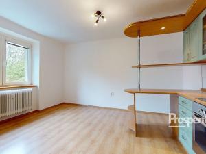 Pronájem bytu 1+1, Teplice, Moskevské náměstí, 29 m2