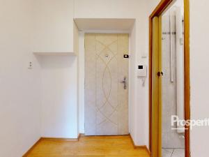 Pronájem bytu 1+1, Teplice, Moskevské náměstí, 29 m2