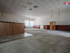 Prodej komerční nemovitosti, Petřvald, Závodní, 760 m2