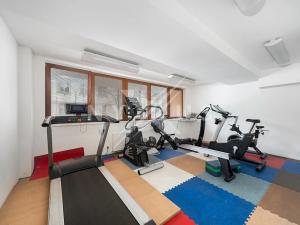 Pronájem bytu 3+kk, Praha - Žižkov, Kališnická, 94 m2
