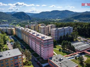 Pronájem bytu 1+1, Ústí nad Labem - Mojžíř, Peškova, 35 m2