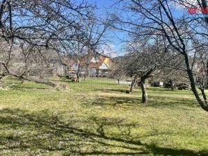 Prodej pozemku pro bydlení, Horní Planá, 3218 m2