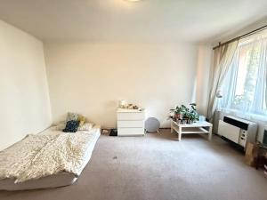 Pronájem bytu 1+kk, Praha - Vršovice, Holandská, 34 m2