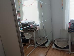 Pronájem bytu 2+1, Třebíč, C. Boudy, 56 m2